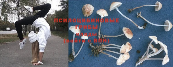spice Нефтекумск