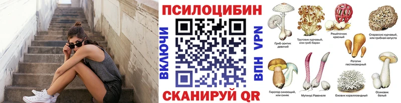 Псилоцибиновые грибы Psilocybe  Купить  Йошкар-Ола 